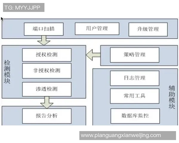 深入探讨北京网球队成员个人能力表现的数据分析与评估方法